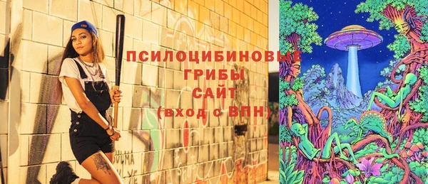 молекула духа Алексеевка