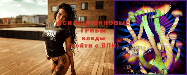 стафф Алексин