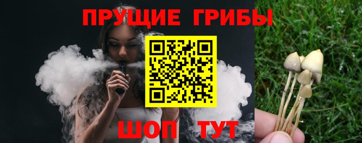 Кулебаки  Галлюциногенные грибы GOLDEN TEACHER  Галлюциногенные грибы Psilocybine cubensis  Вход с VPN 